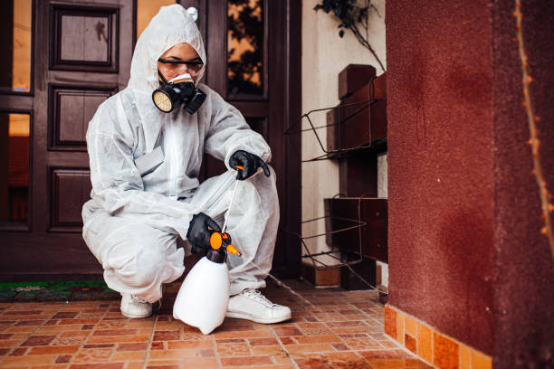 Reliable Ant Control contractor in Julian, CA by Show Me Pest Control